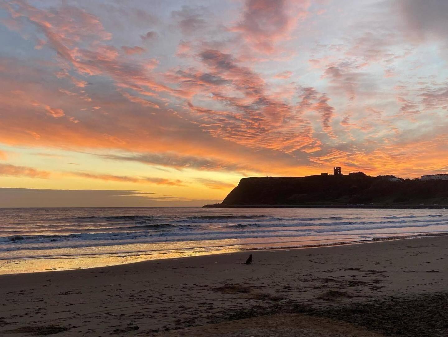Seascape - Fantastic Location With Sea Views! Apartment Scarborough Exterior photo